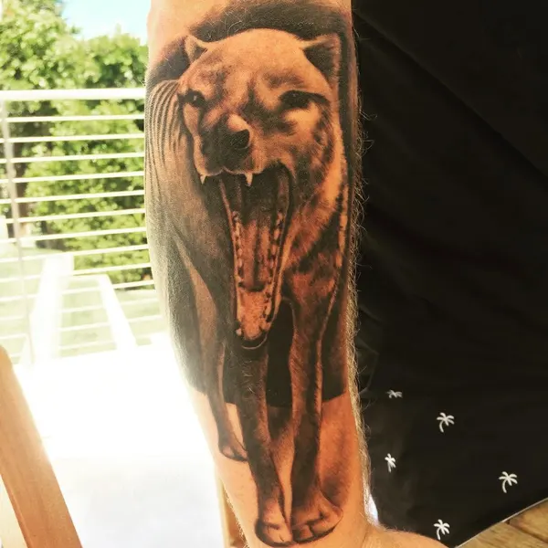 Animal, Tiger