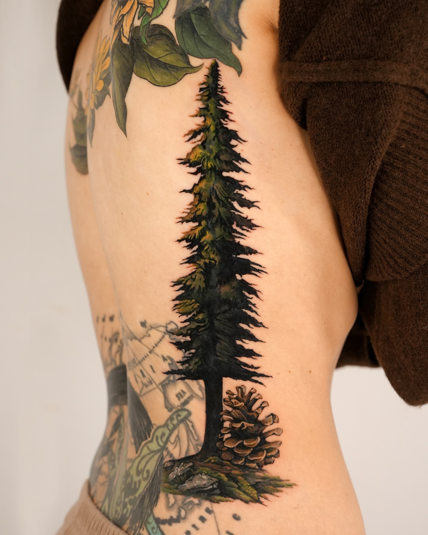 Nature, 숲, 나무, 소나무