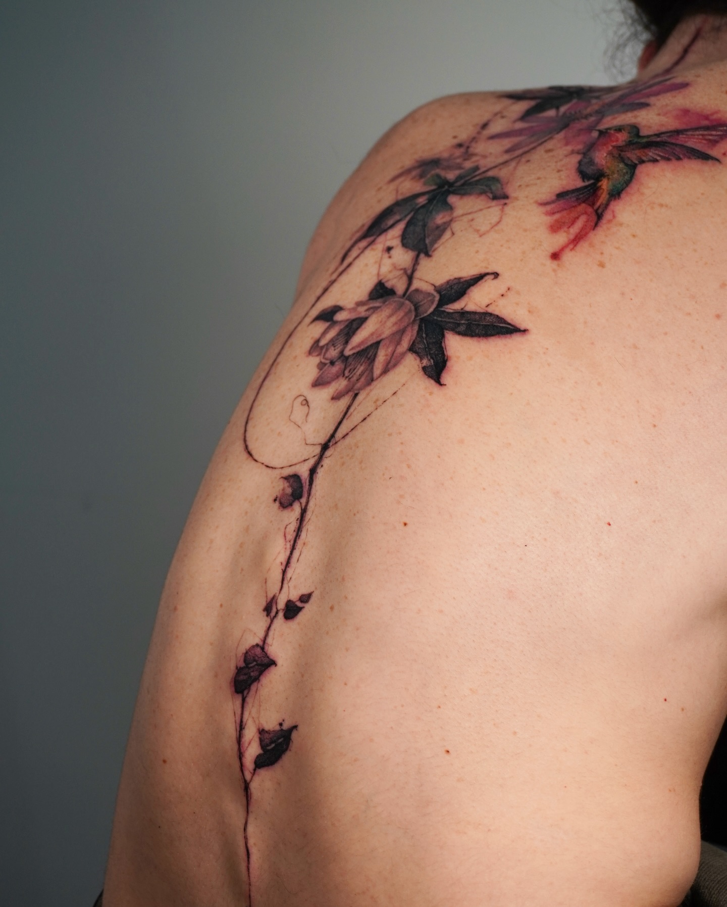 Flower, Nature, Rose