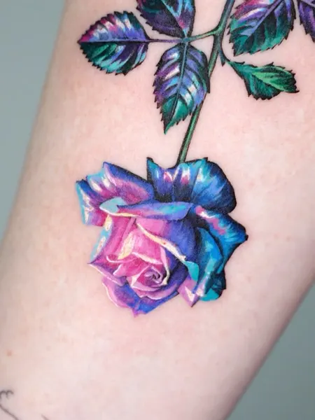 Flower, Rose