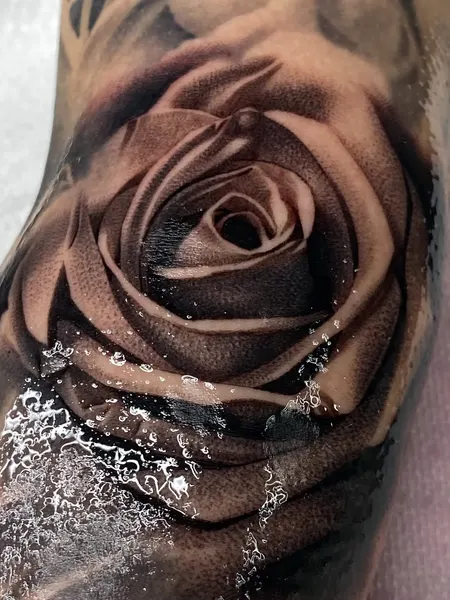 Flower, Rose
