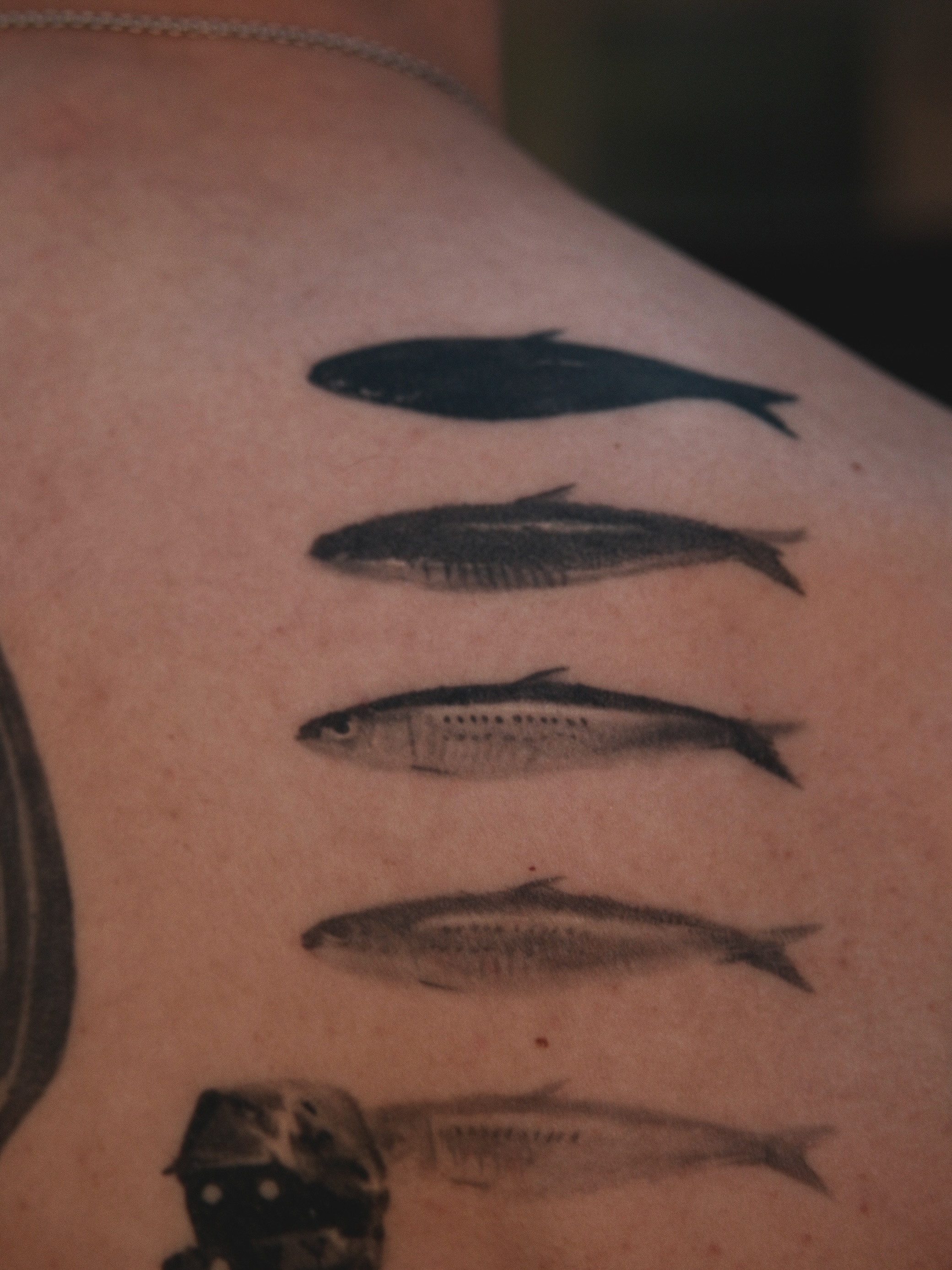 marius_montrealtattoo