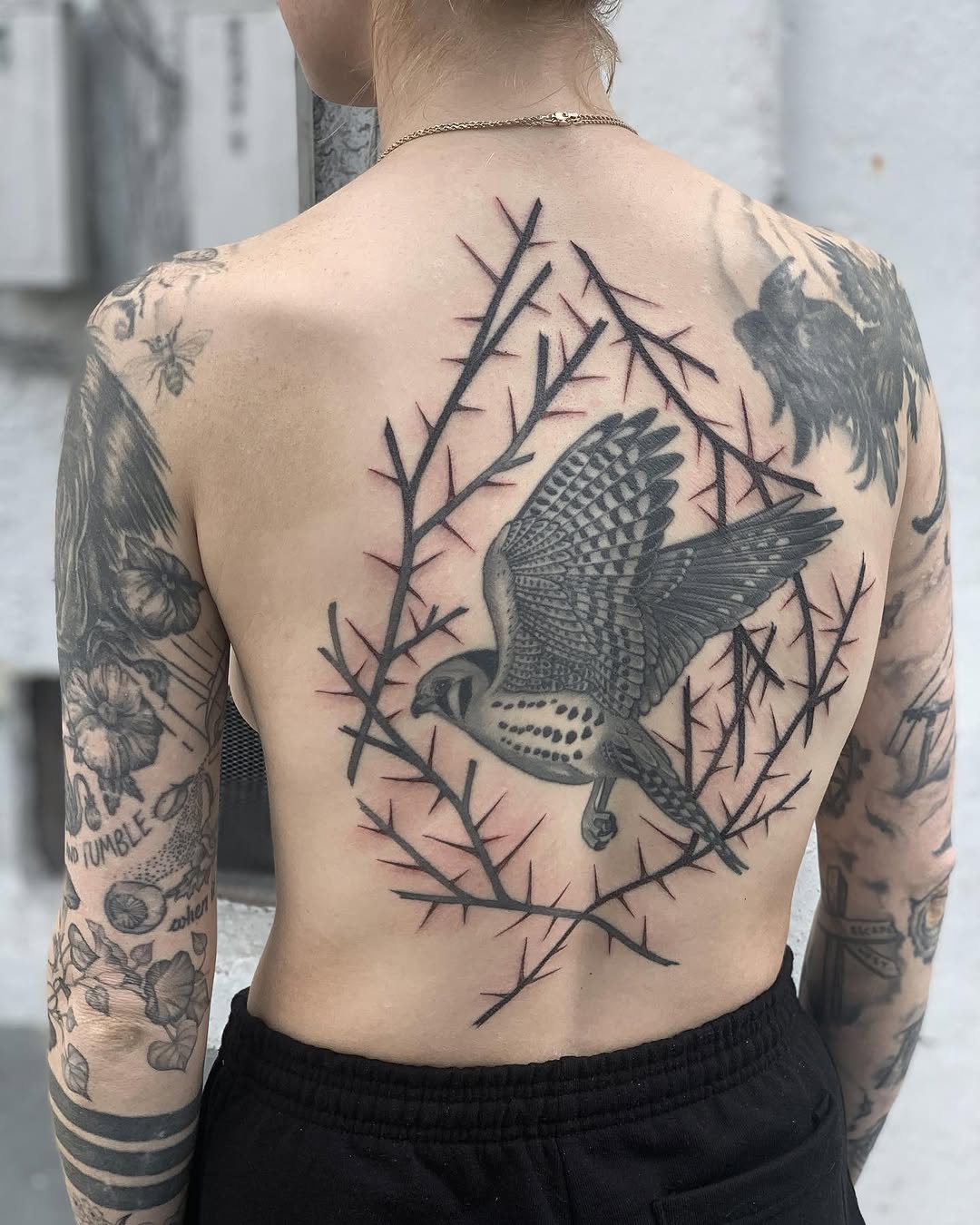 Animal