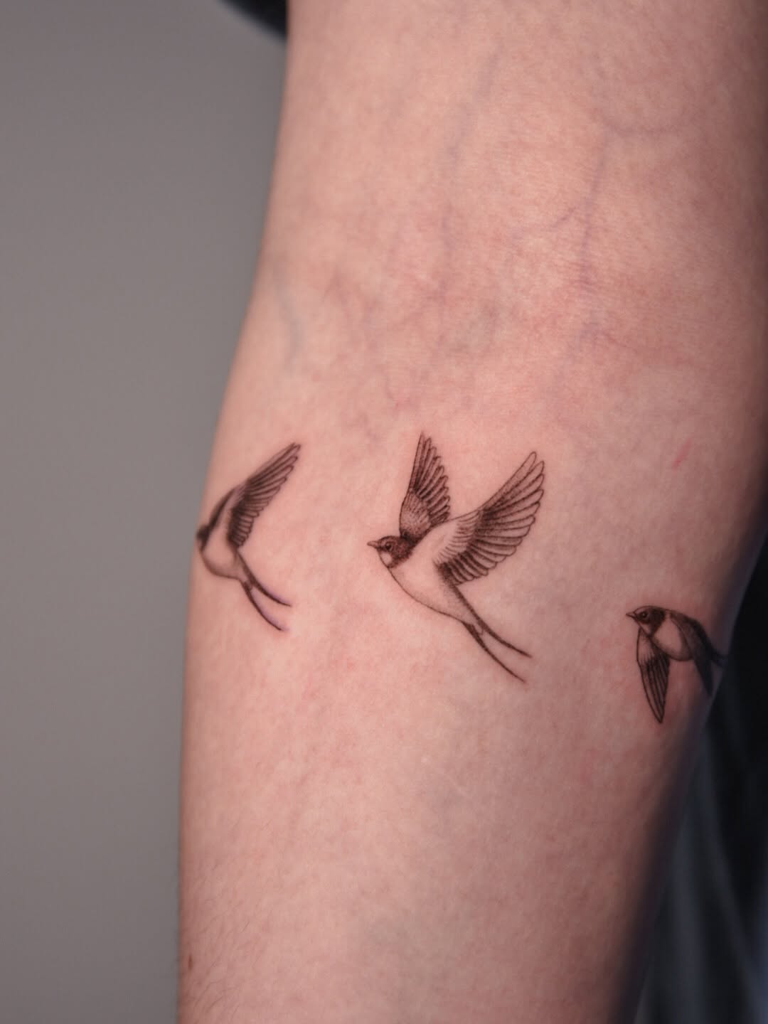 steffan_eagle_tattooer