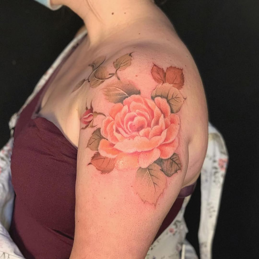 Flower, Rose, Nature