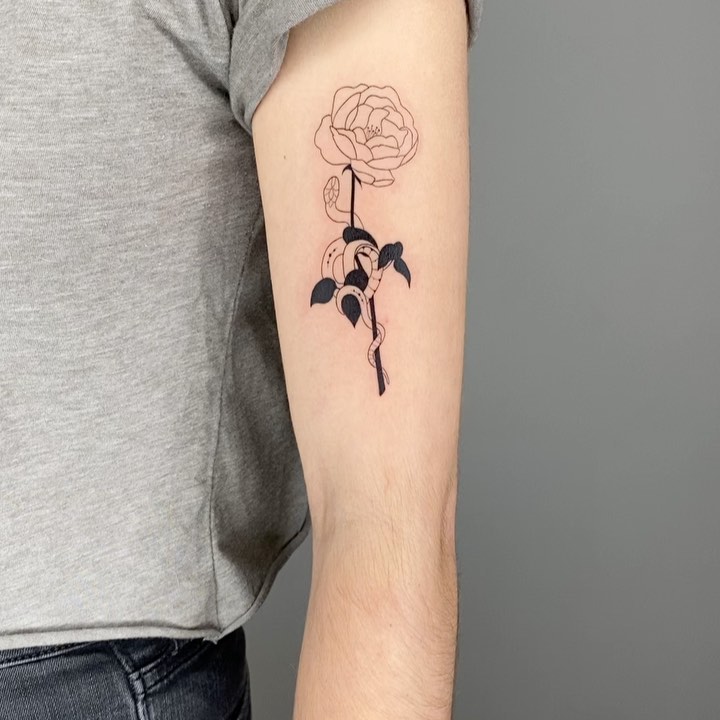 Flower, Rose