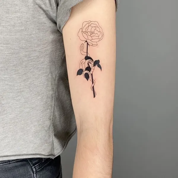 Flower, Rose