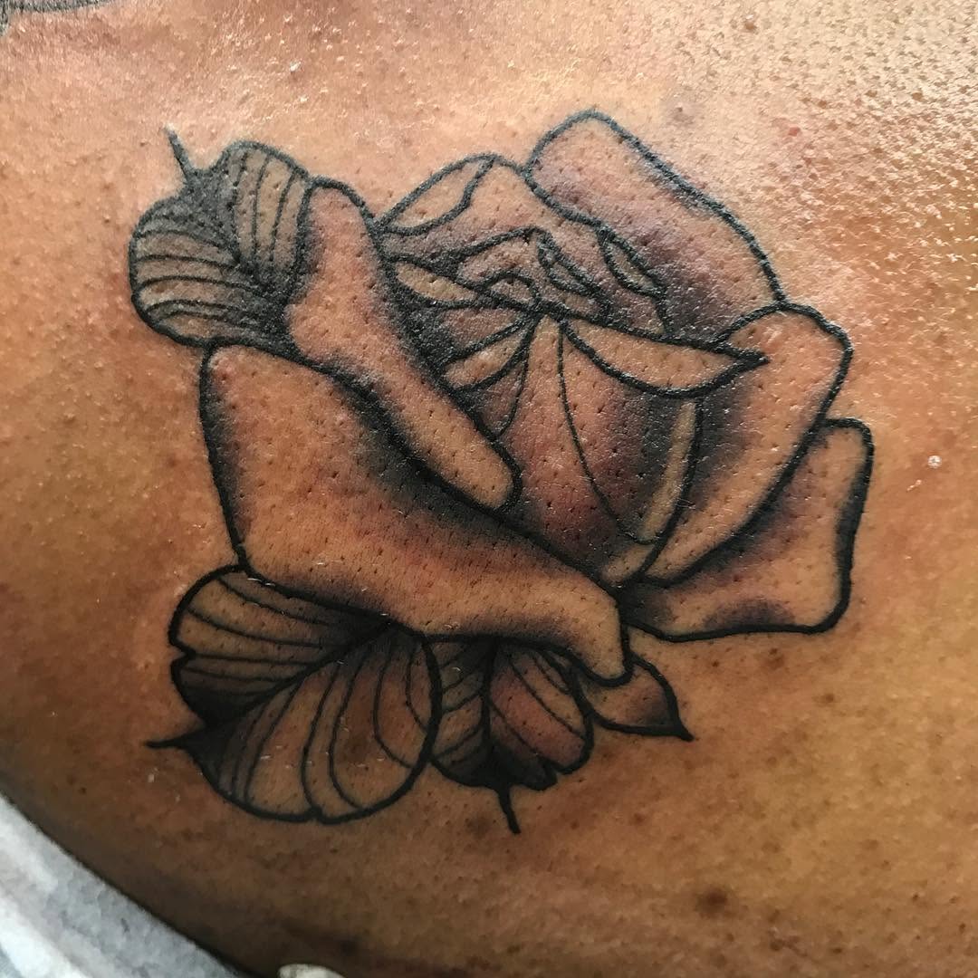 Flower, Rose, Nature
