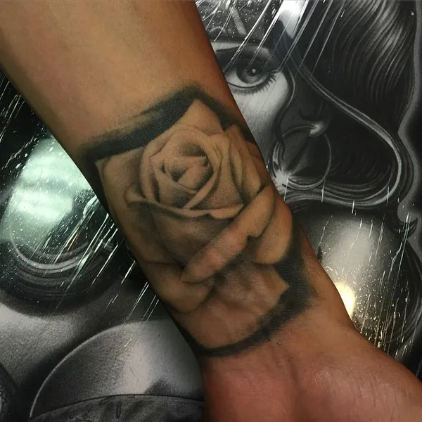 Flower, Rose