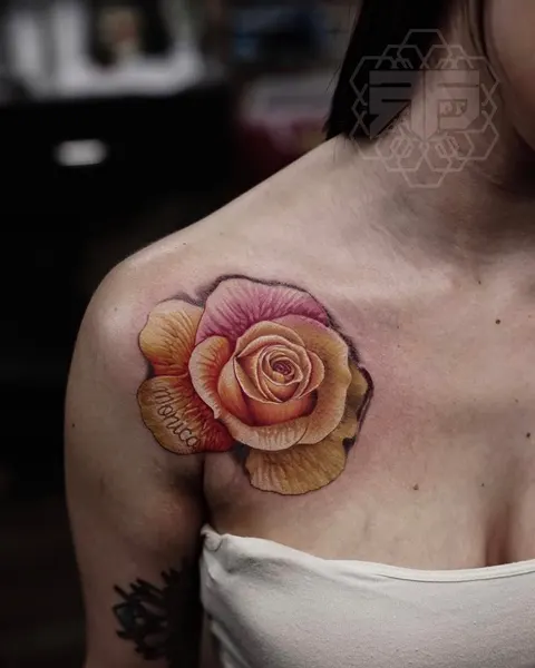 Flower, Rose, Nature