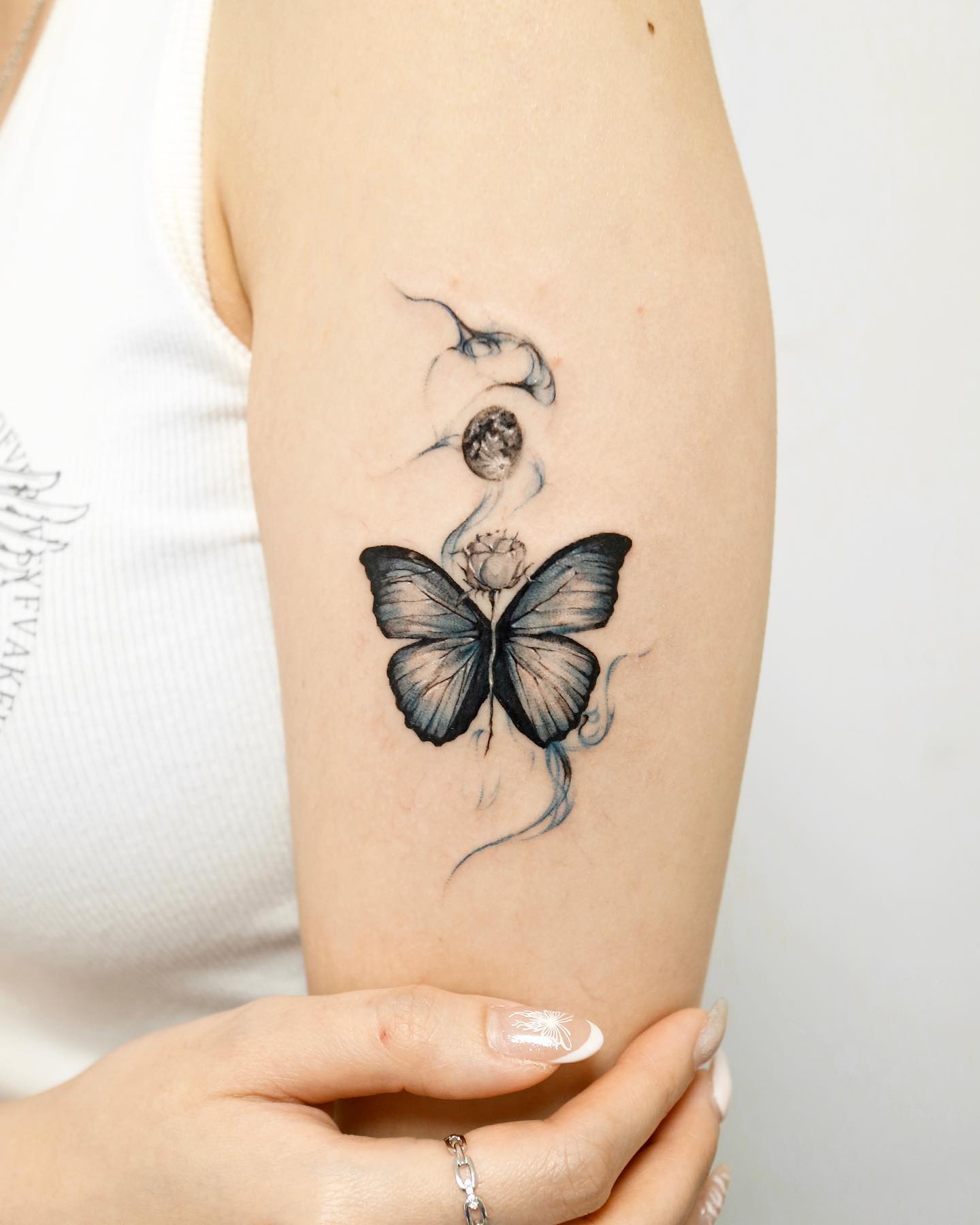 Animal, Nature