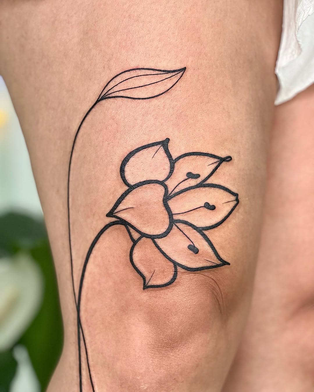 Flower