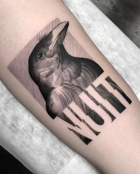 equilattera