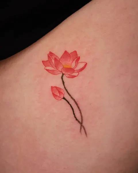 Flower, 연꽃, 튤립