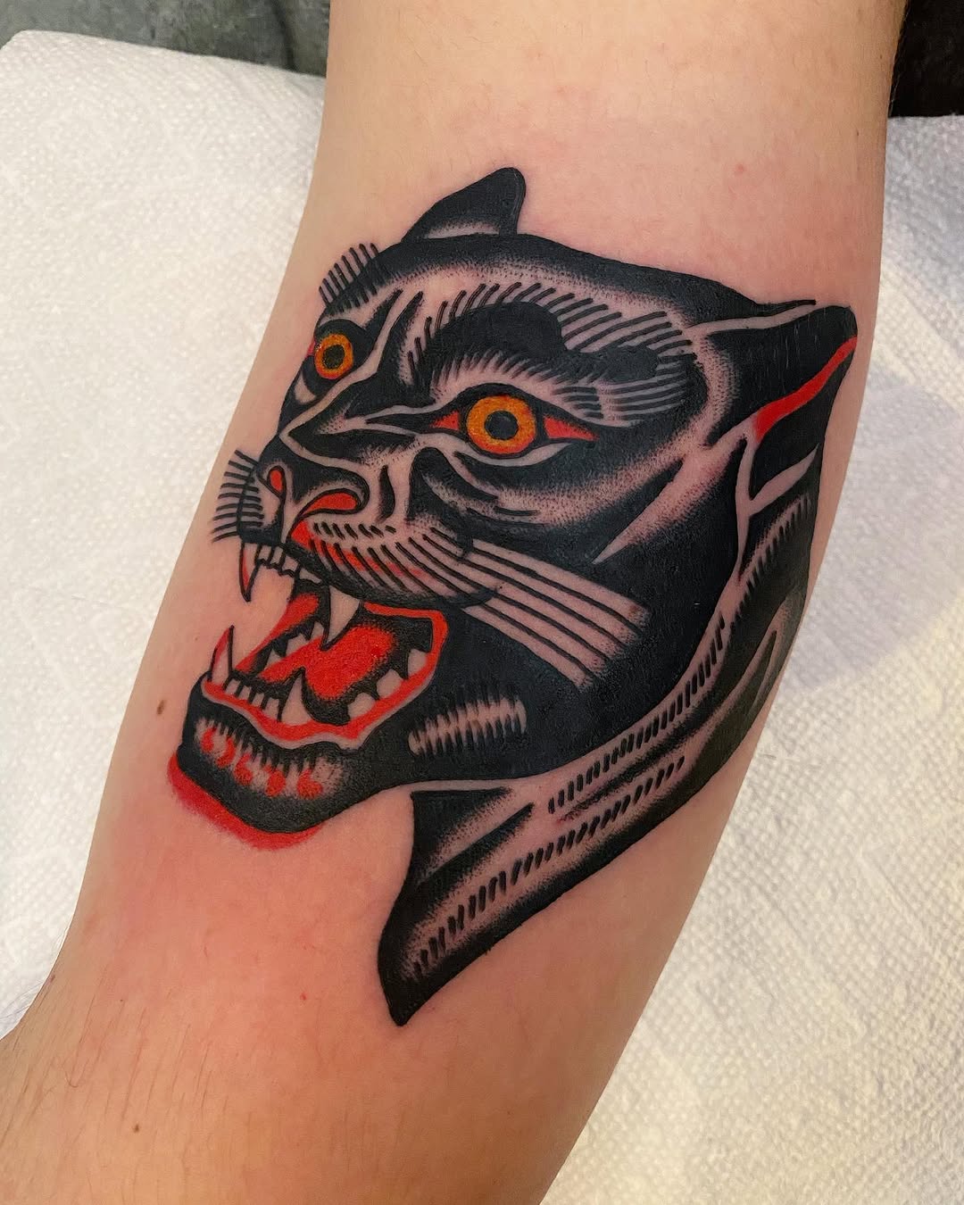 Animal, Tiger