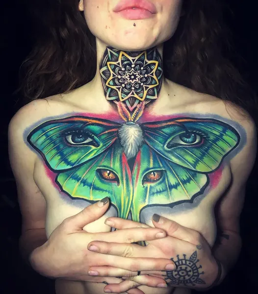 Animal, Nature
