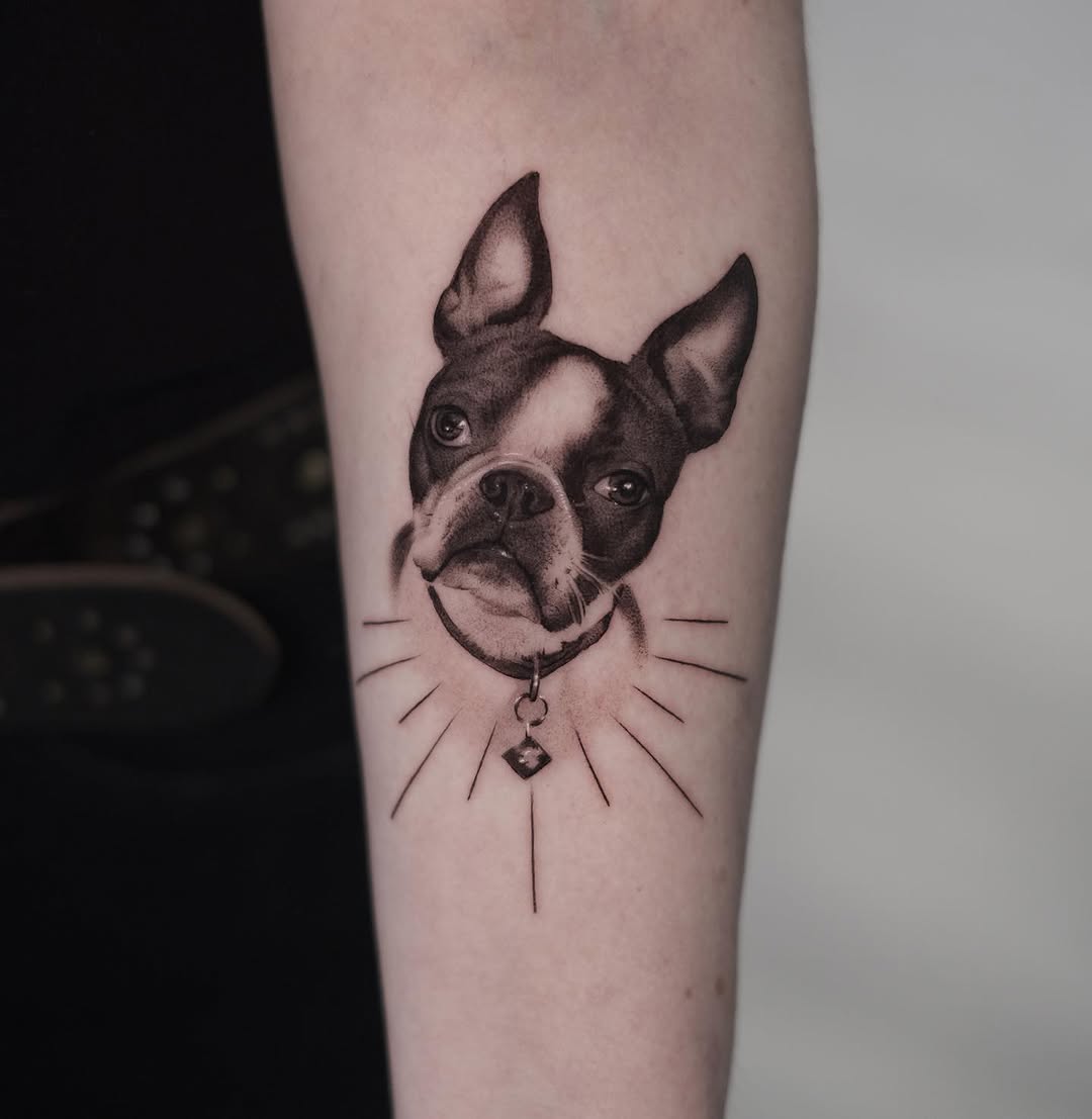 Animal
