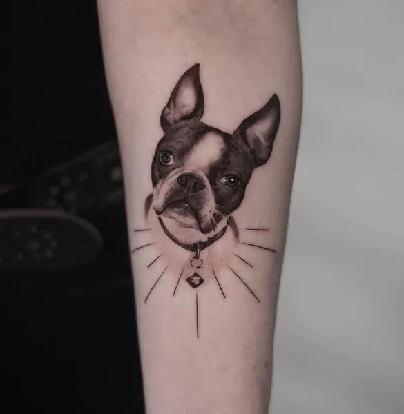 Animal
