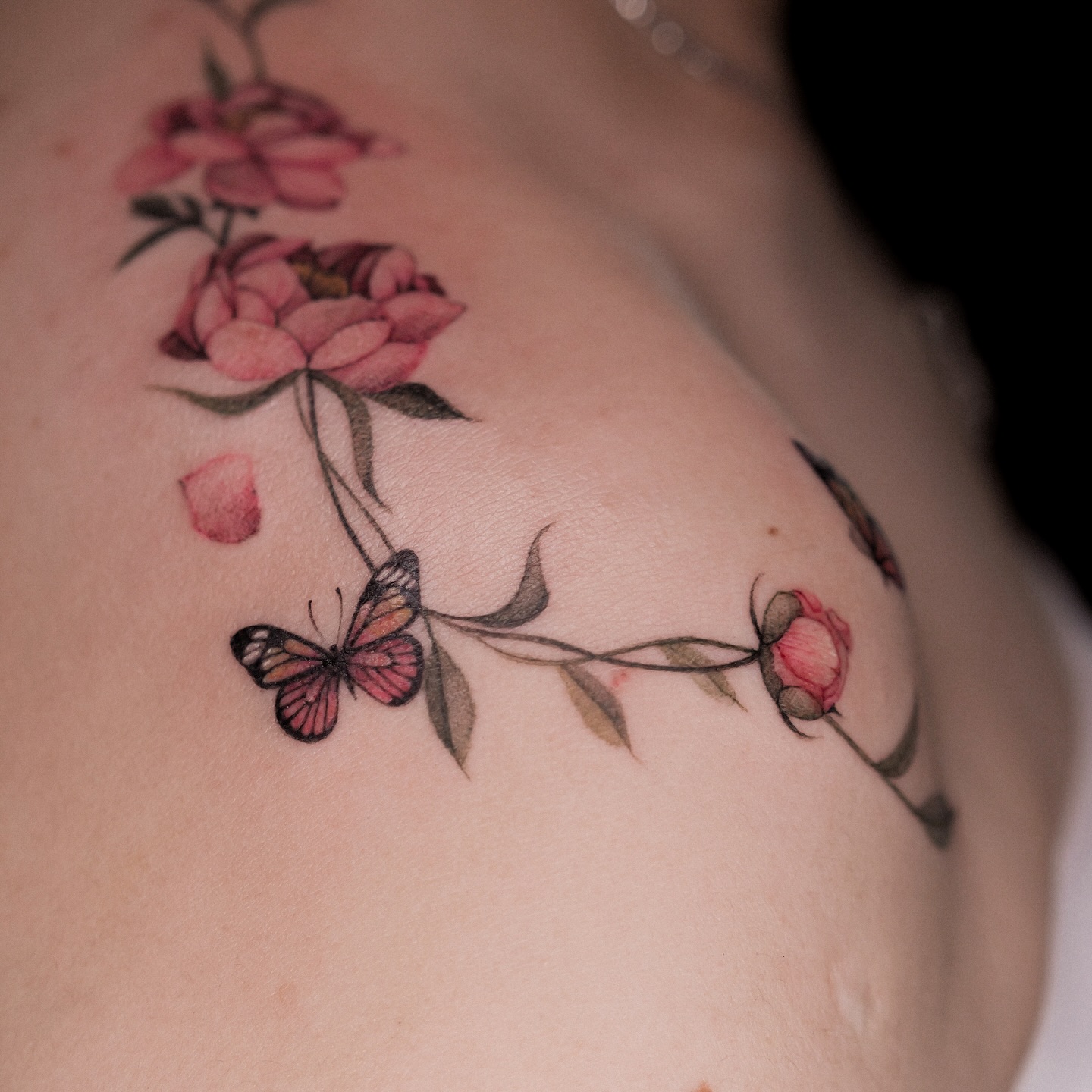 Flower, Rose, Nature