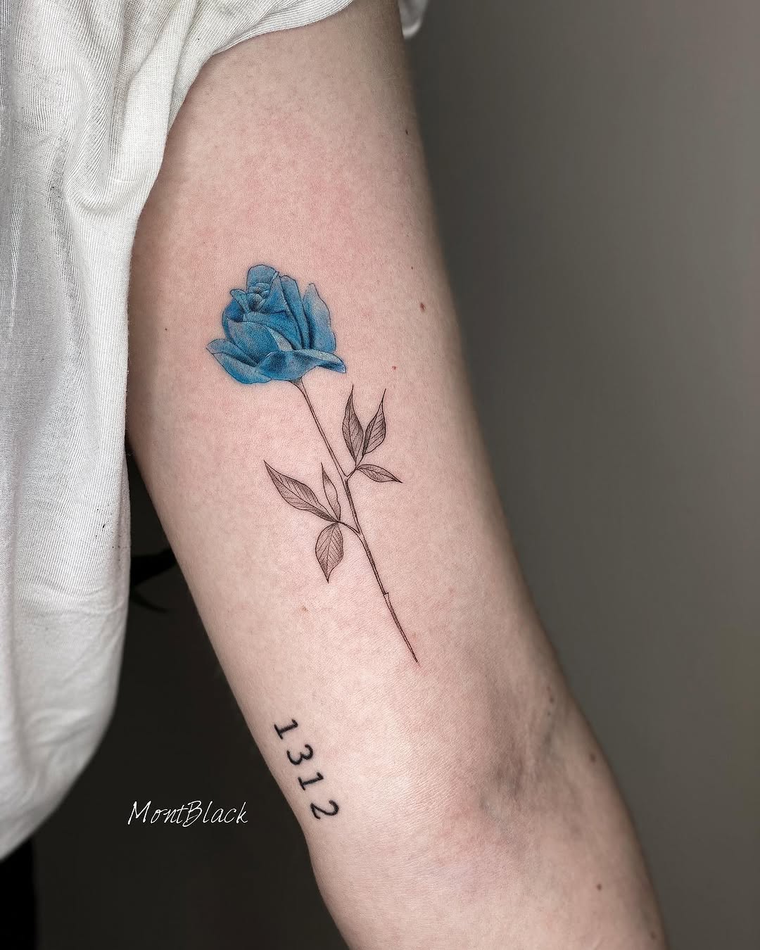 Flower, Rose
