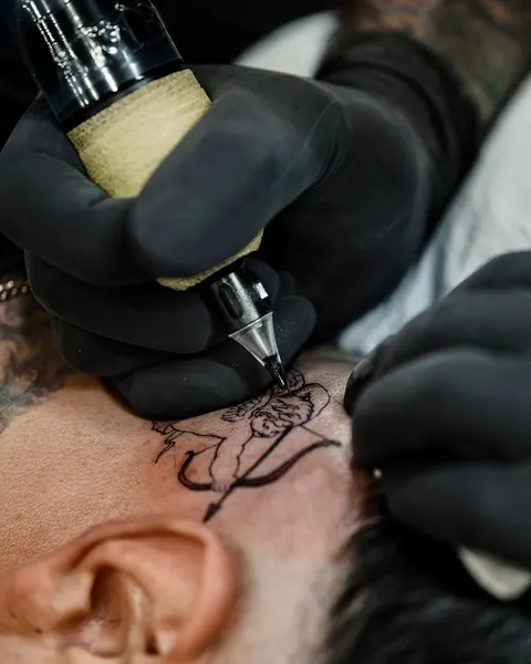 romeolacoste