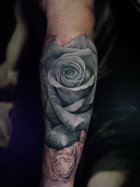 Flower, Rose