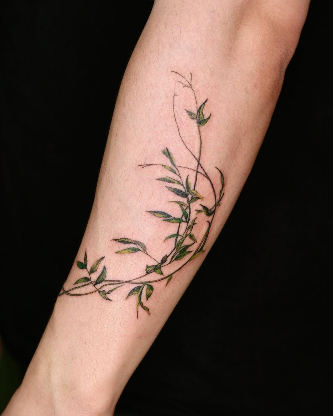 Flower, Rose, 풀