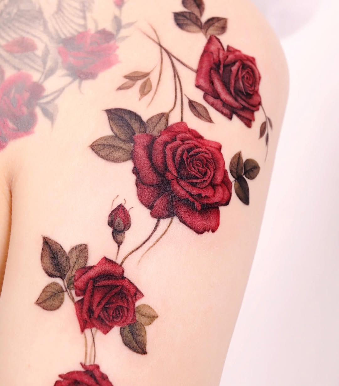Flower, Rose