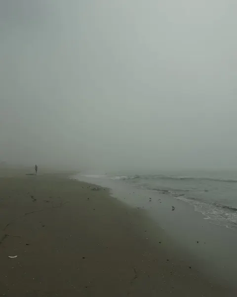 ponywave