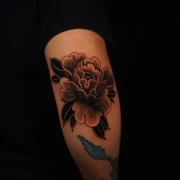 Flower, Rose