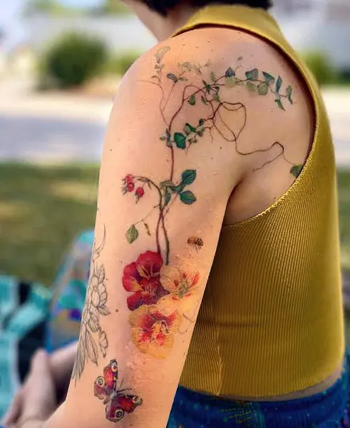 Flower, Rose