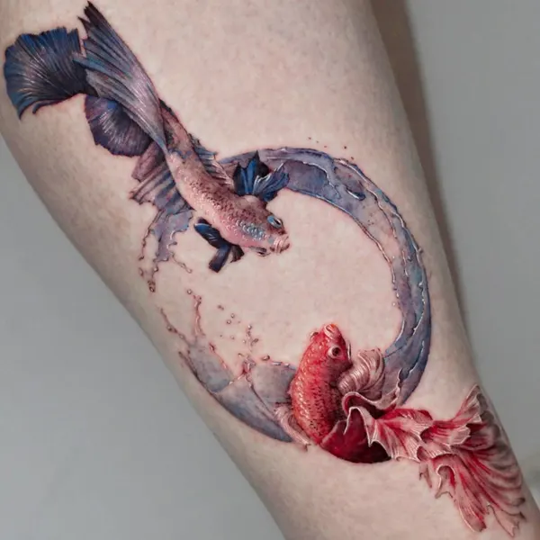 Animal, 잉어, 판타지, 백조