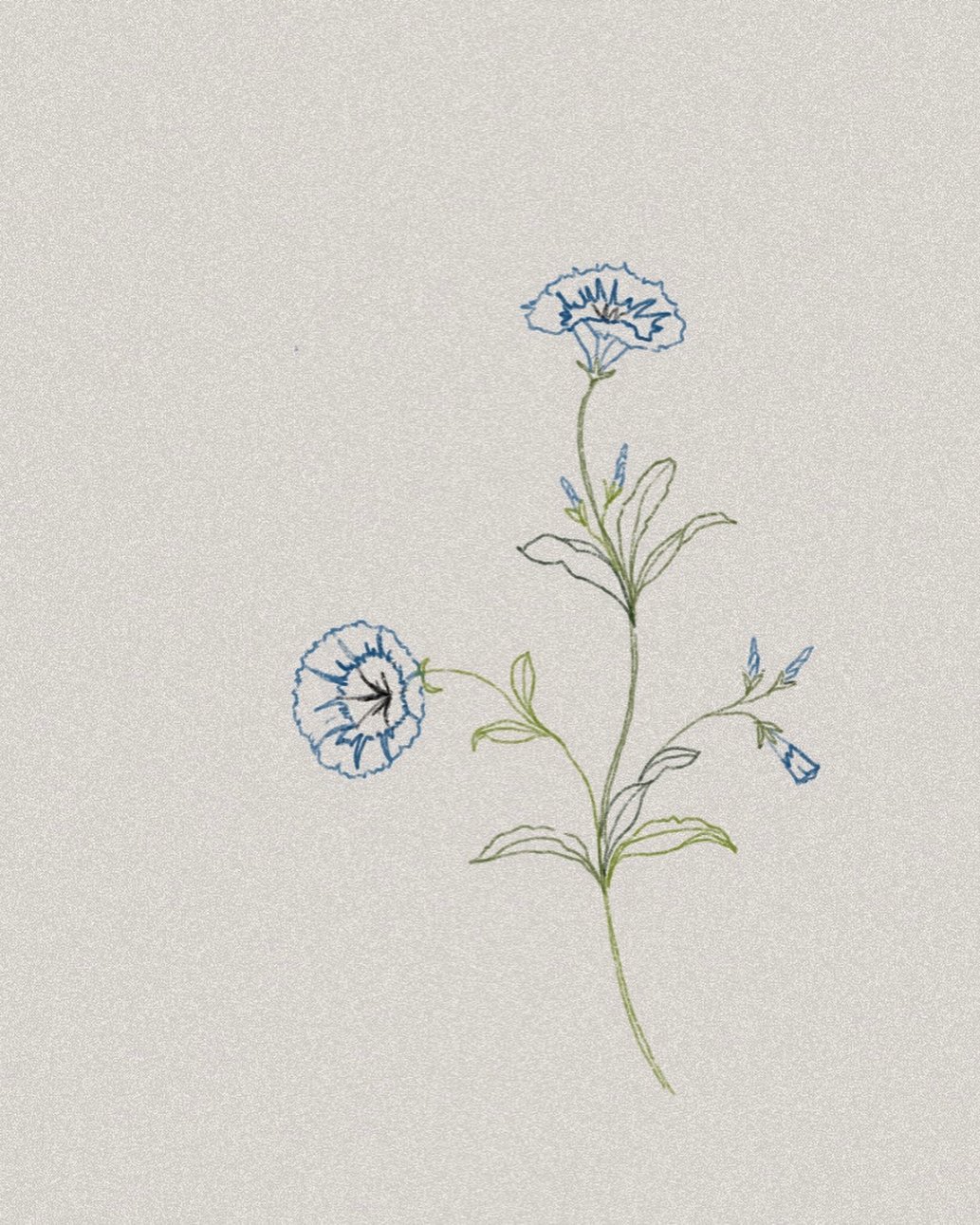 tattoo.joojoo
