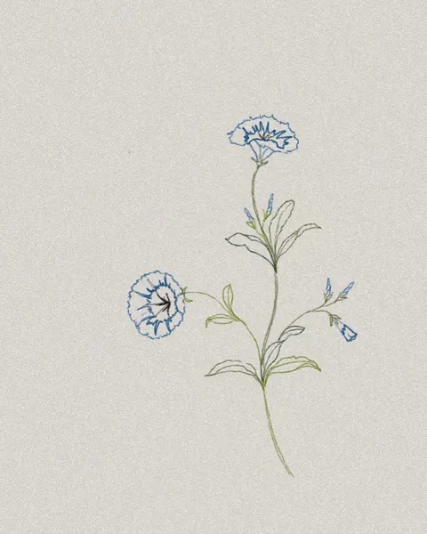 tattoo.joojoo