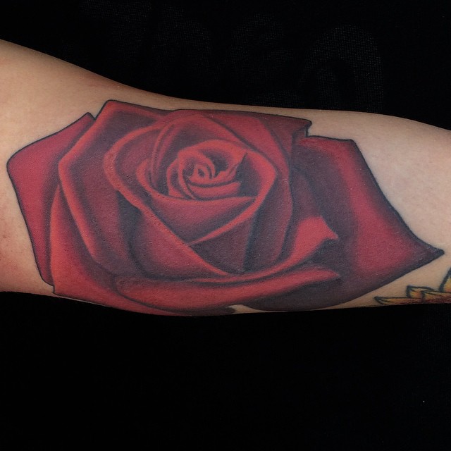 Flower, Rose