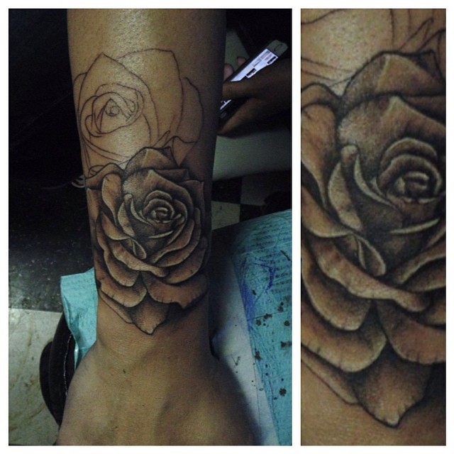 Flower, Rose