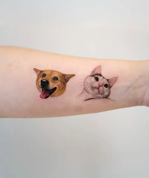 Animal