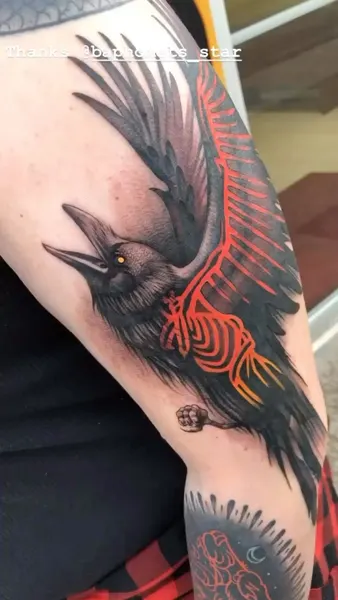 Animal