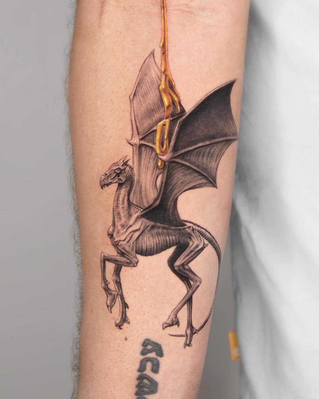 Dragon