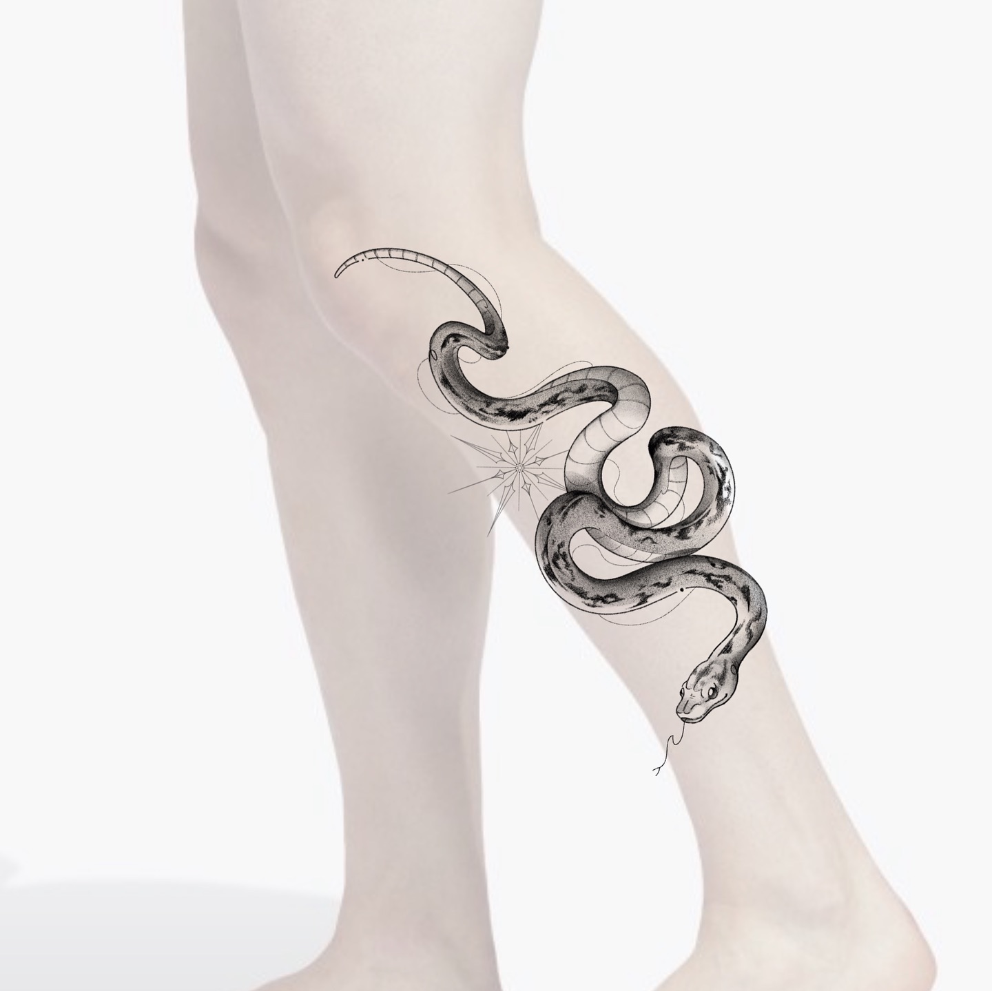 Snake, Dragon
