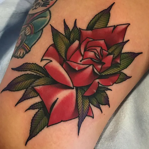 Flower, Rose
