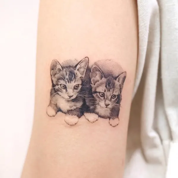 고양이