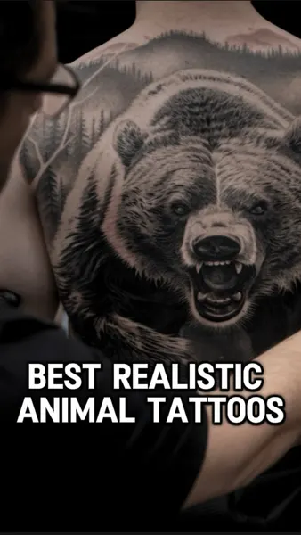 Animal, 곰