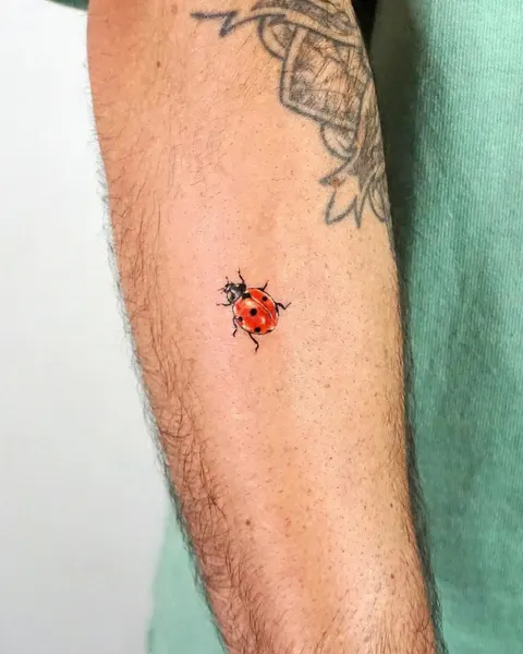 Mini, Animal, 무당벌레