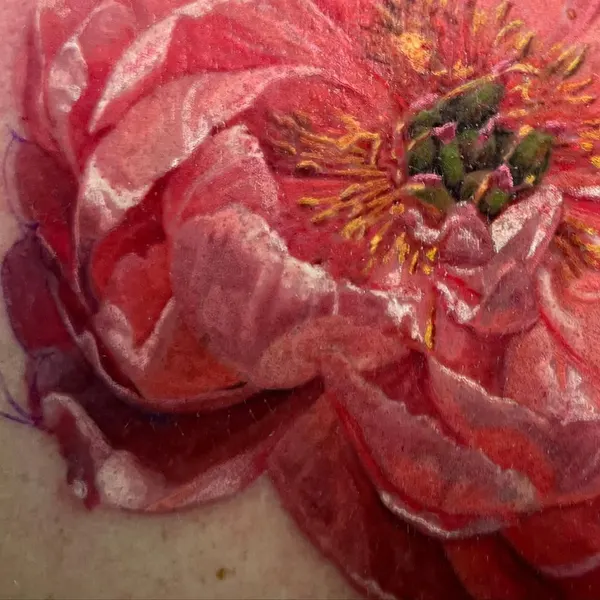 Flower, Rose
