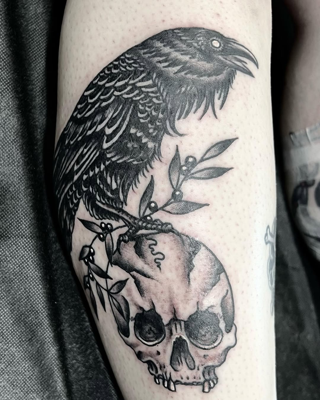 Animal