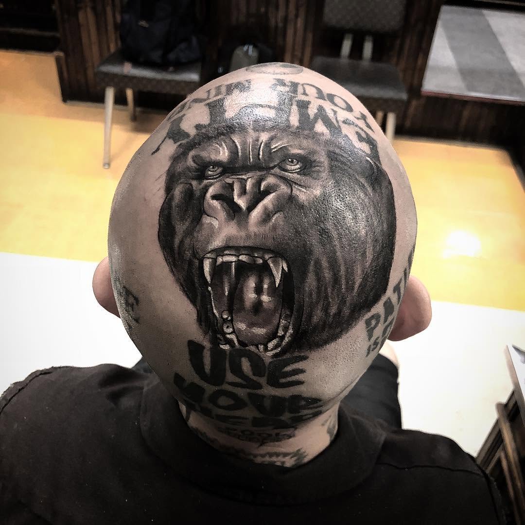 Tiger, Animal
