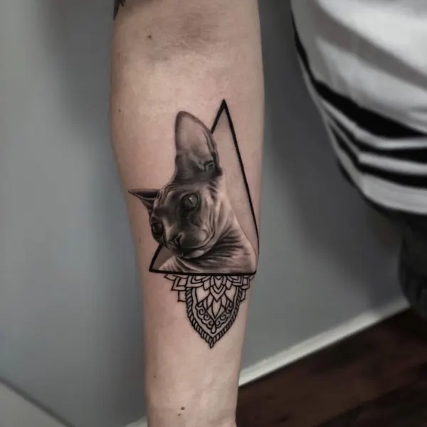 Animal