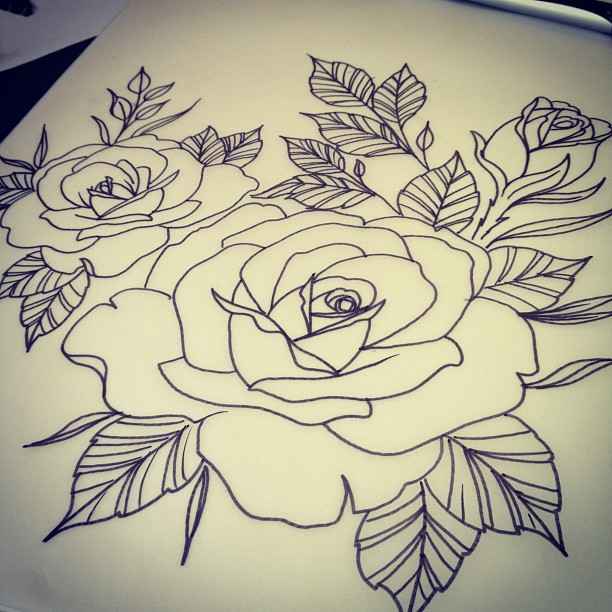 Flower, Rose