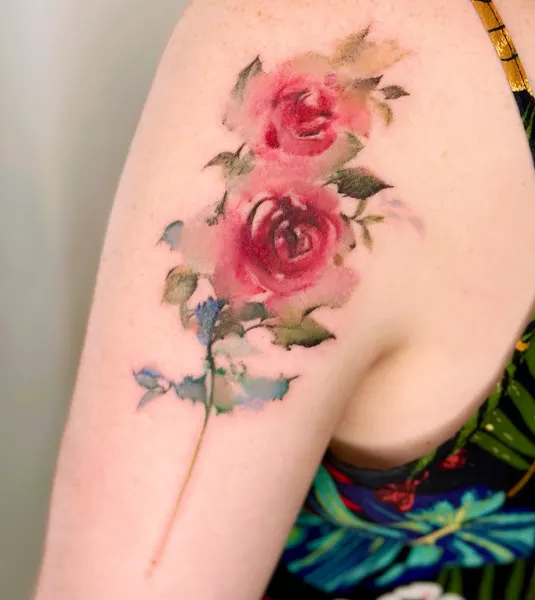 Flower, Rose, Nature